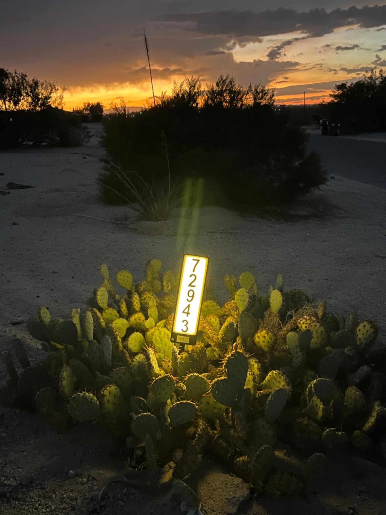 トウェンティナイン・パームズ Bodhi House, Joshua Tree National Parkホステル エクステリア 写真
